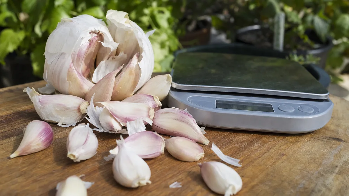 A garlic head broken into cloves of different sizes on a wooden board beside a small kitchen scale